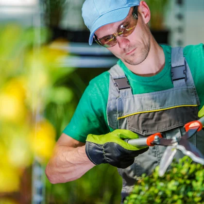 Curso profesional de JARDINERÍA en Oviedo, Gijón, Avilés, Langreo y León