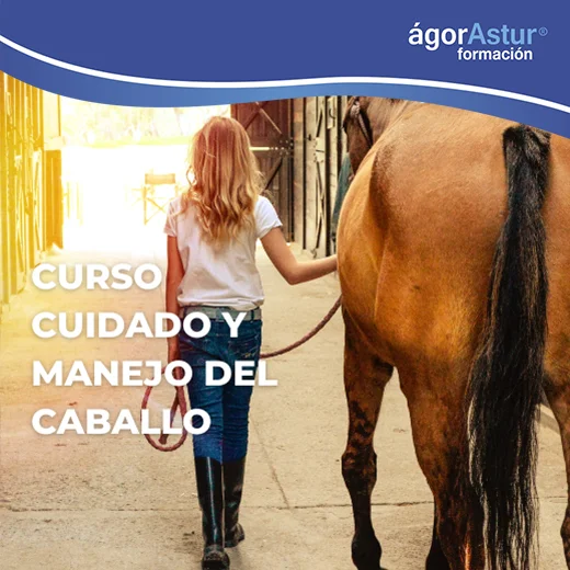Curso de Manejo y Cuidado del Caballo Curso de Manejo y Cuidado del Caballo