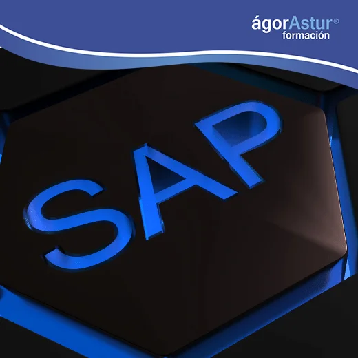 Curso de SAP SD Usuario (Ventas y Distribución)