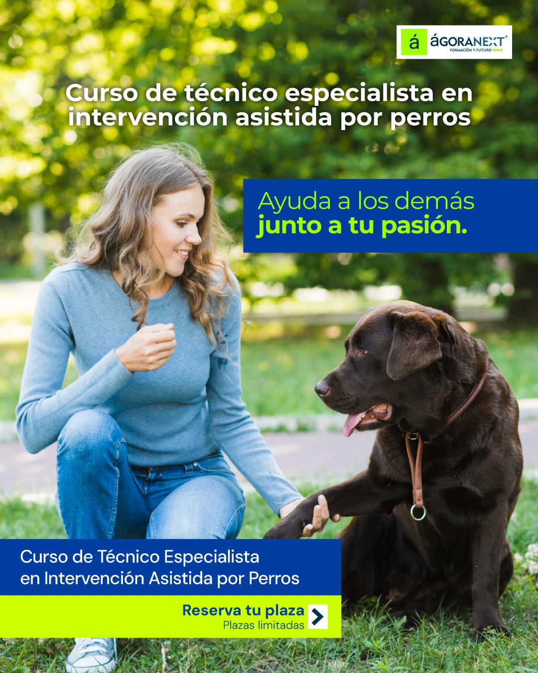 Curso de Técnico Especialista en Intervención Asistida por Perros
